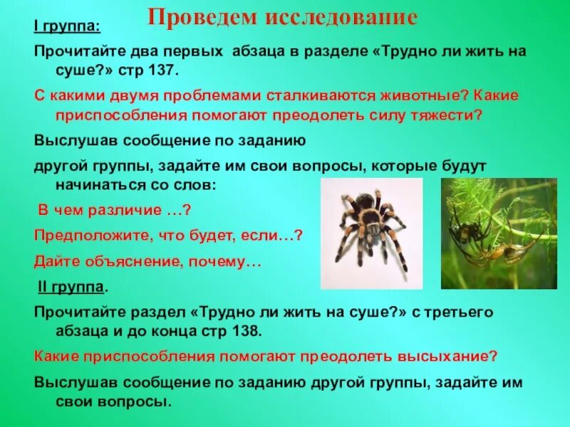 Выбери признаки паукообразных. Класс паукообразные общая характеристика. Общая характеристика паукообразных. Паукообразные задания. Задачи паукообразных.