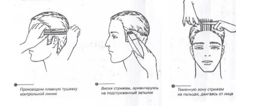 Как стричь полубокс машинкой. Схема стрижки канадка машинкой. Схема мужской стрижки машинкой полубокс. Схема стрижки канадка мужская. Мужская модельная стрижка схема выполнения.