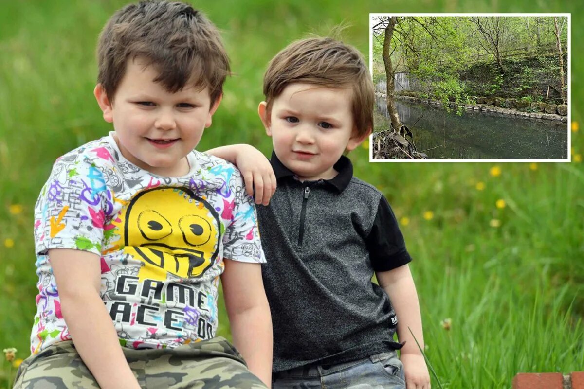 прогулка с братом. парные футболки для детей. картины дональда золана беззаботное детство. два брата старший и младший. братик можно.