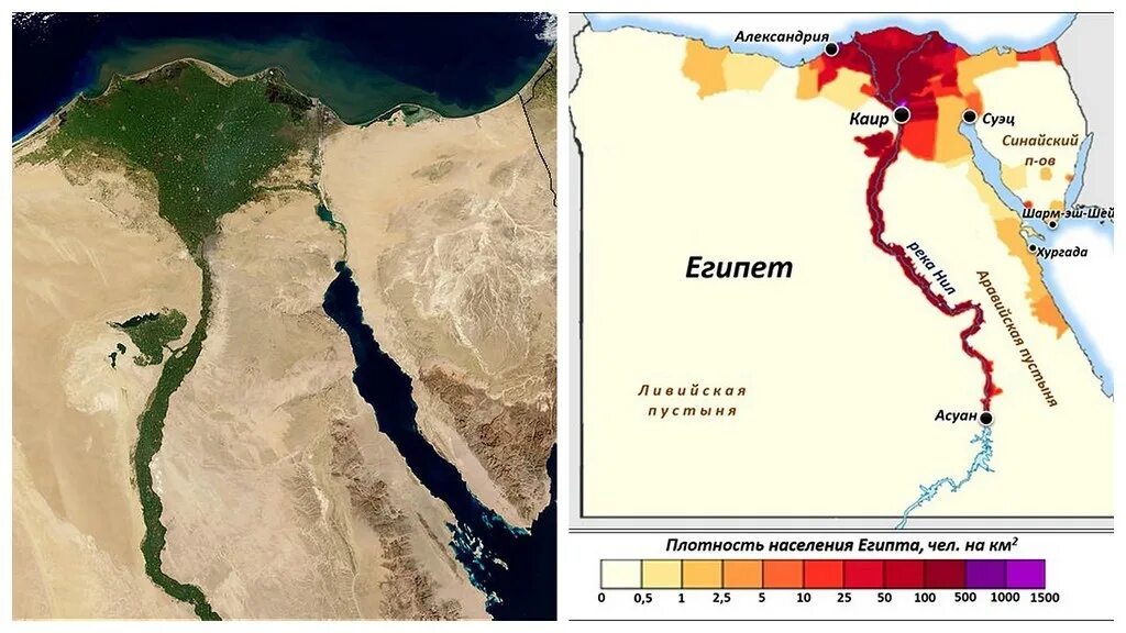 Какая численность населения египта. Плотность населения Египта. Карта плотности населения Египта. Плотность населения Египта 2020.