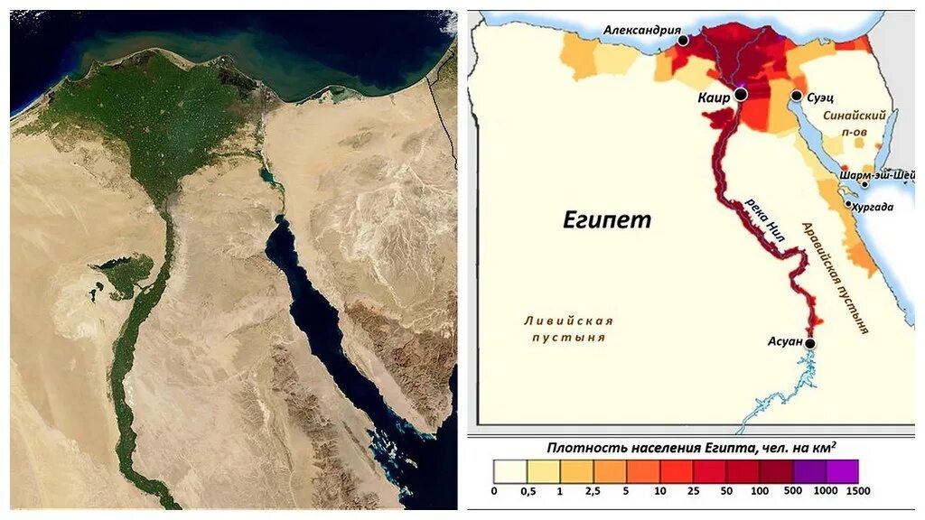 Какая численность в египте. Плотность населения Египта. Карта плотности населения Египта. Плотность населения Египта 2020.