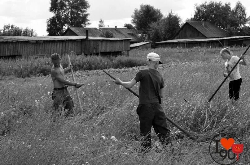 Сенокос картинки прикольные. Сенокос живопись в деревне. Скирда сноп. Фразы про косы. Сенокос деревня природа.