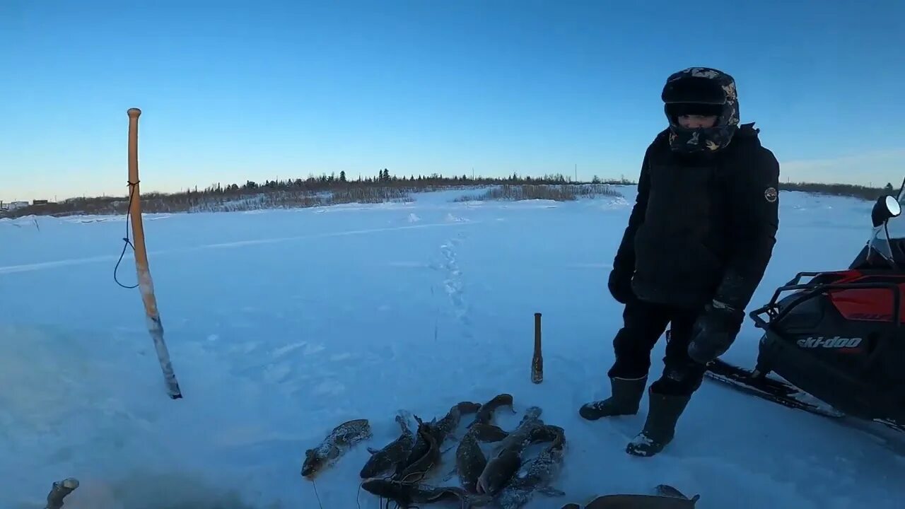 Это не диалоги о рыбалке последние выпуски