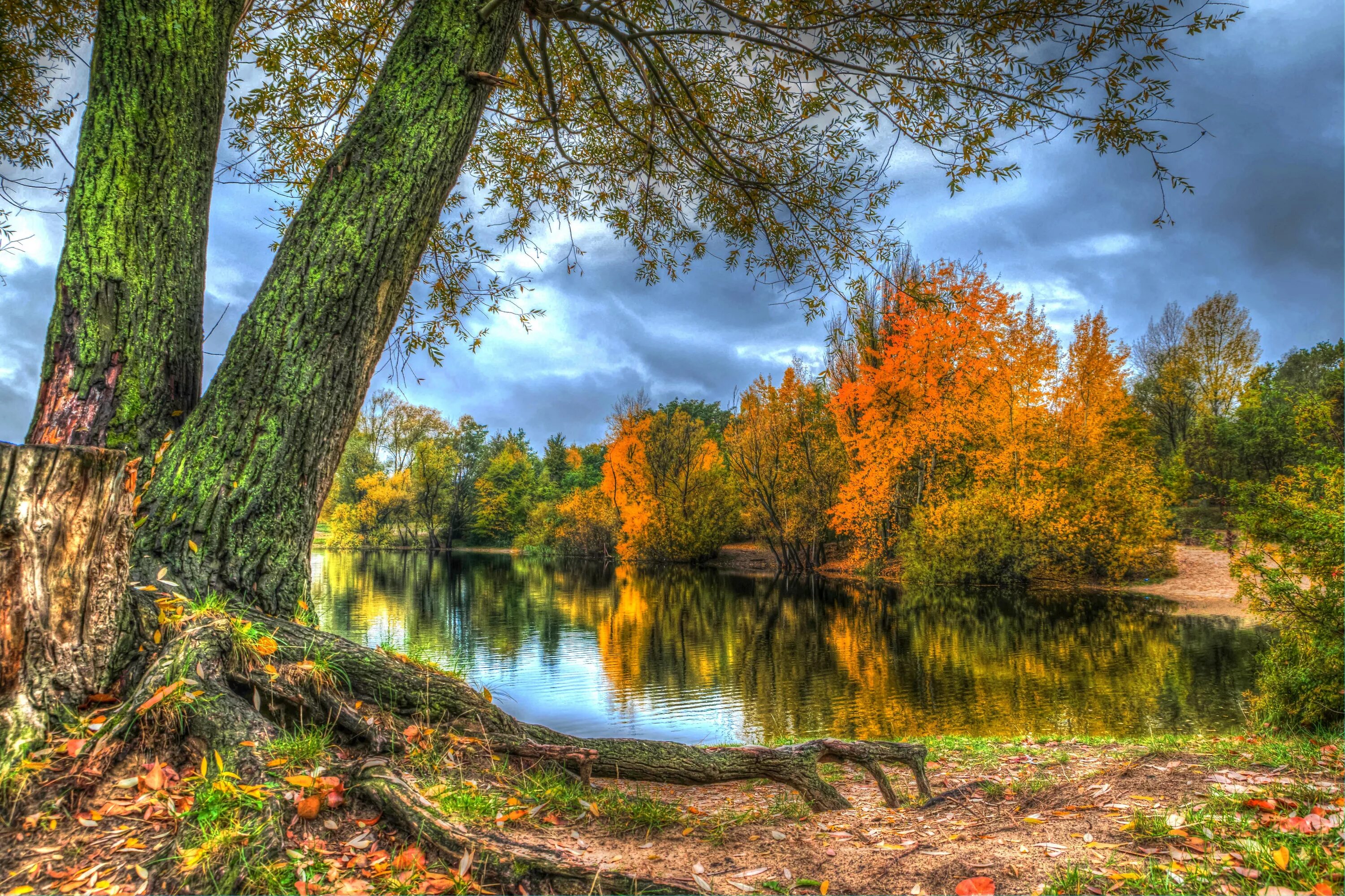 Красивые осенние картинки. Природа осень. Природа осенью. Осень в лесу. Осенний лес.