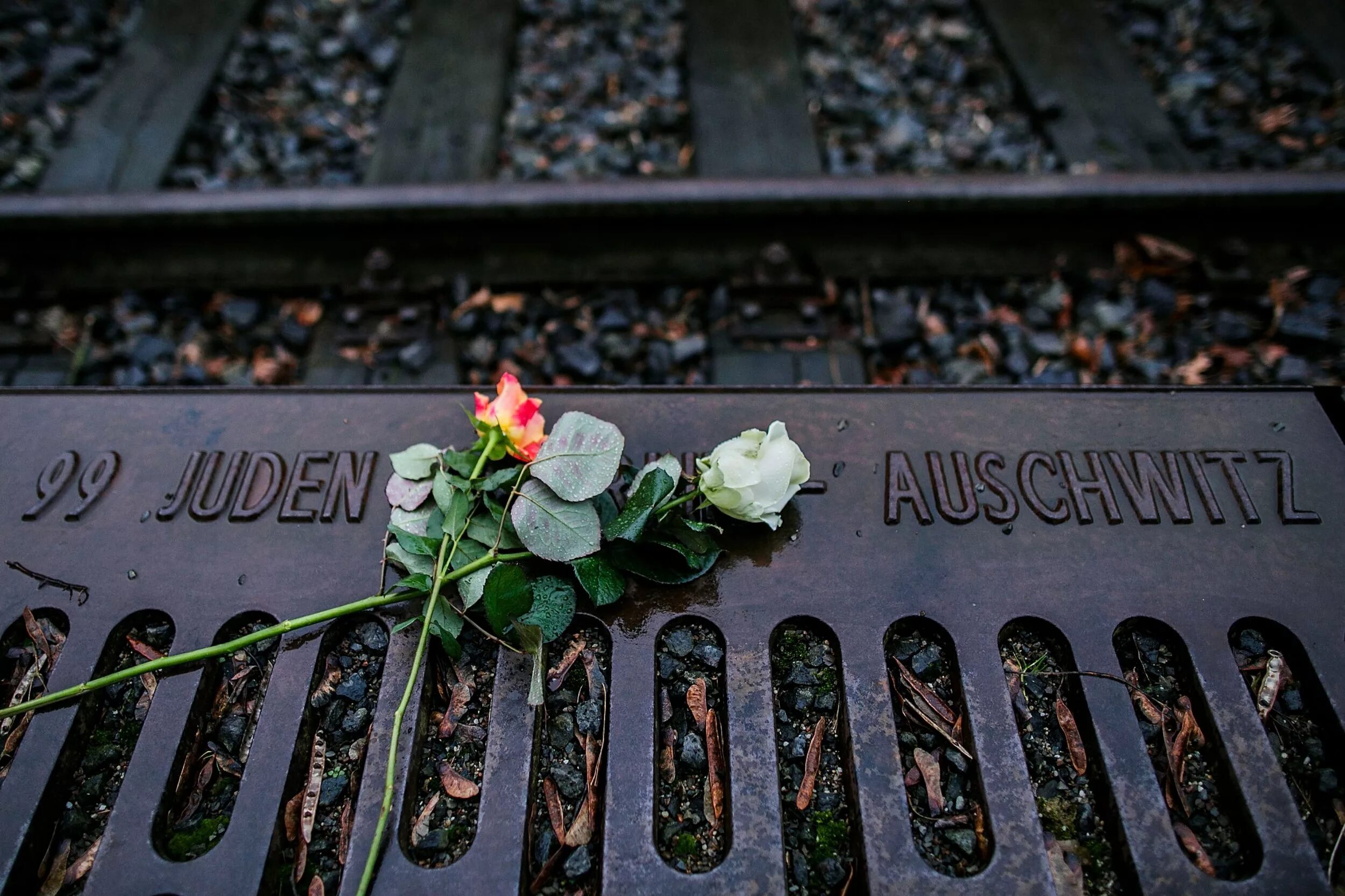 День памяти жертв второй мировой войны. День памяти жертв Холокоста. Холокост день памяти. Международный день жертв Холокоста.