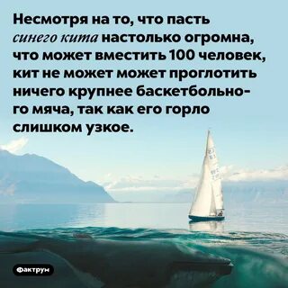 Настолько огромный