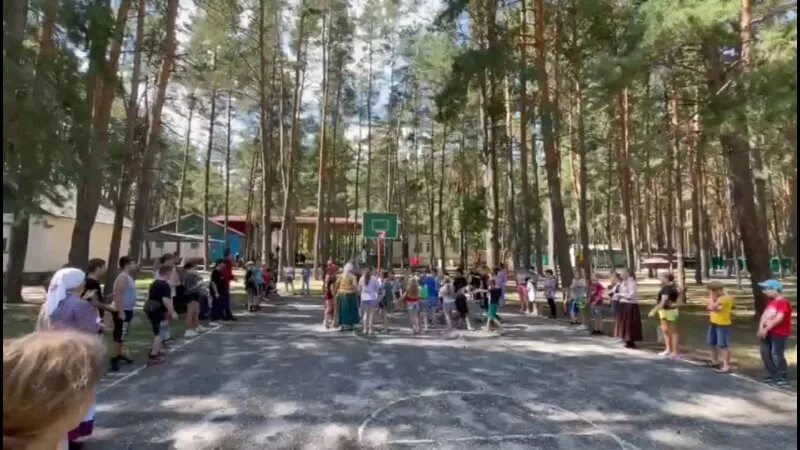 Анапа лагерь золотой колос. Золотой колос смены. Лагерь колос рязань. Золотой колос смены. Лагерь золотой колос туапсе.