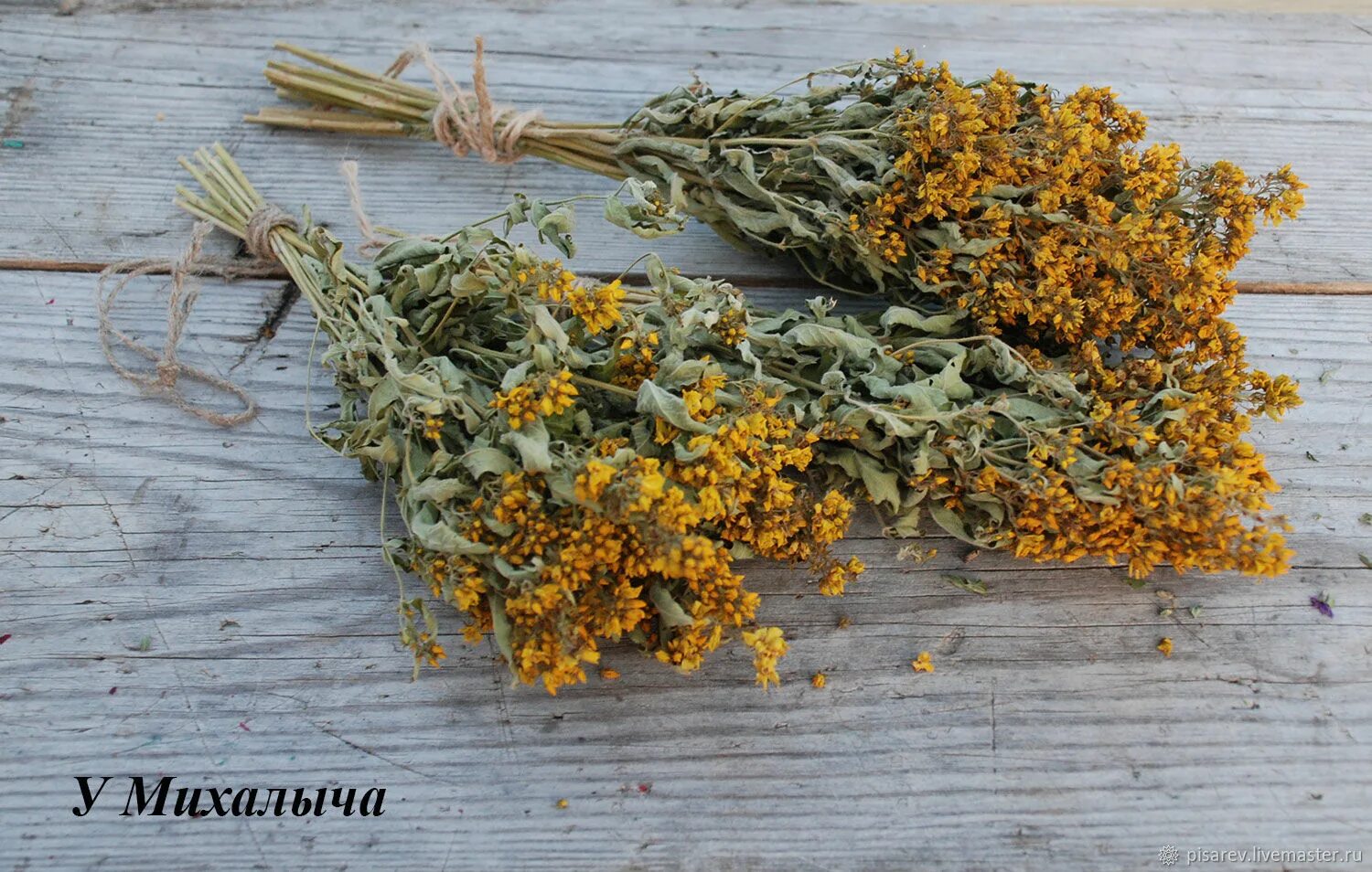 Эмтээх оту хомуйууга сүбэлэр КИИН КУОРАТ
