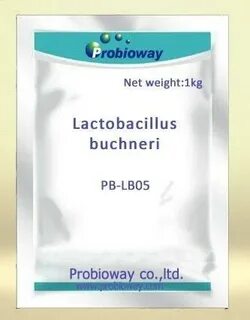 Пробиотик bacillus