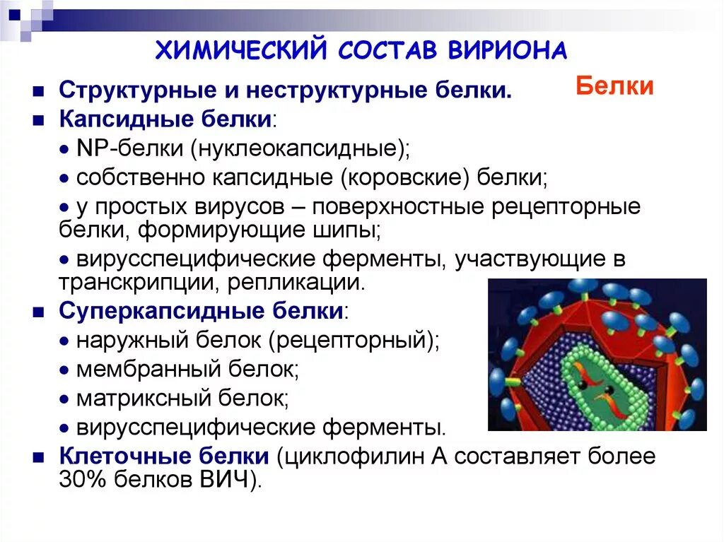 Химическая структура вириона. Функции основных компонентов Вариони. Структура вириона микробиология. Морфология и структура вирионов.