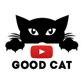 Cats ответы ютуб