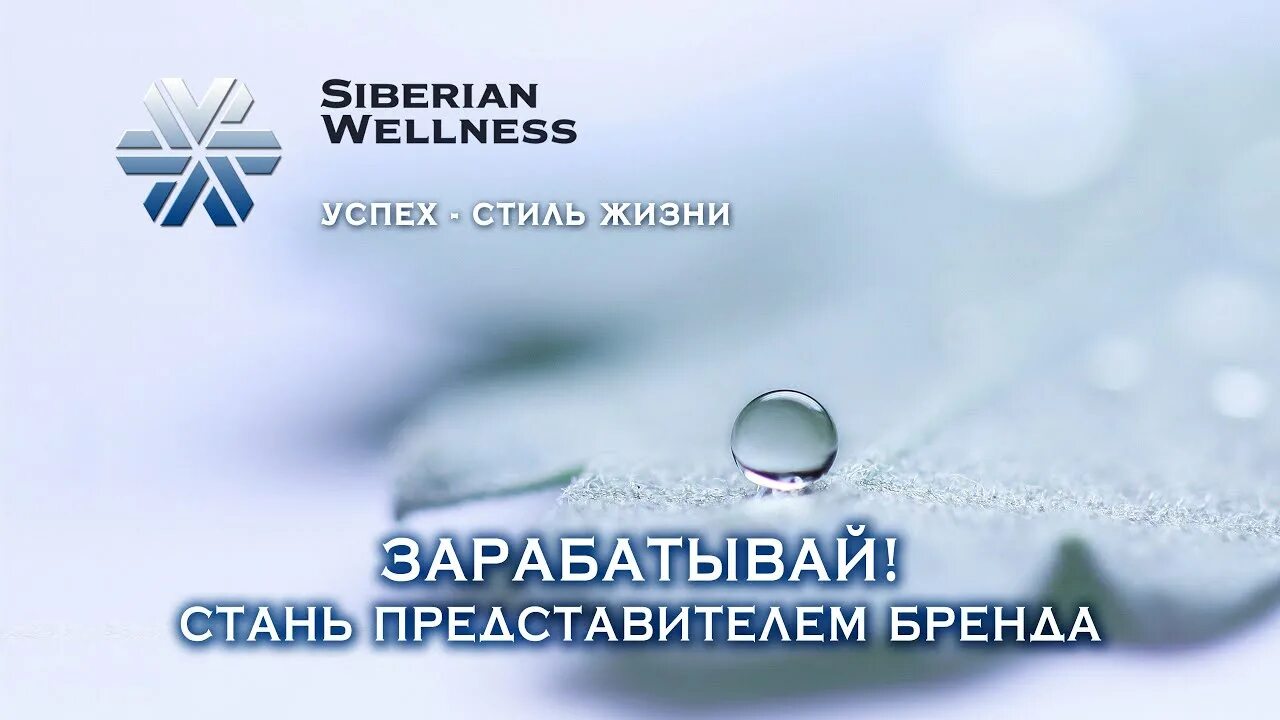 Сибирское здоровье бизнес партнер. Siberian Wellness бизнес. Сибириан велнес логотип. Привилегированный клиент Siberian Wellness. Сибирское здоровье логотип.