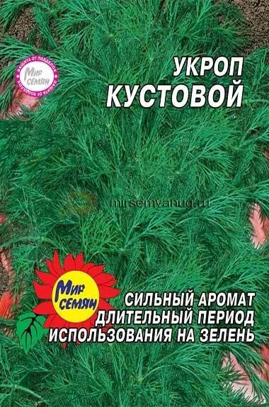 Укроп Гринсливз. Укроп кустистый. Укроп кустовой. Характеристика укропа сорт Гринсливз.