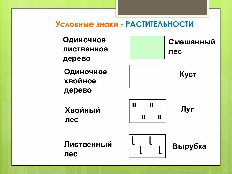 Сообщение условные знаки. Смешанный лес обозначение на топографической карте. Топографическая карта обозначение хвойный лес. Хвойный лес на карте условное обозначение. Условные топографические знаки.