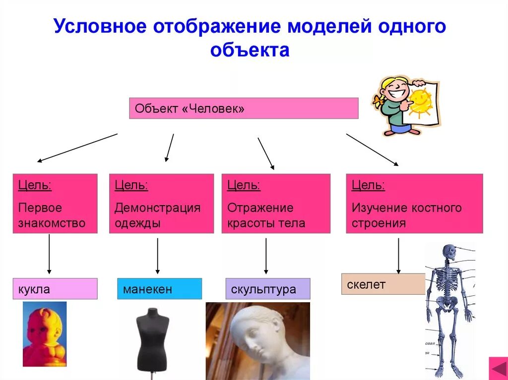 Модели человека примеры. Модели объекта человек. Объект человек пример модели. Модели одного объекта. Привести примеры моделей объектов