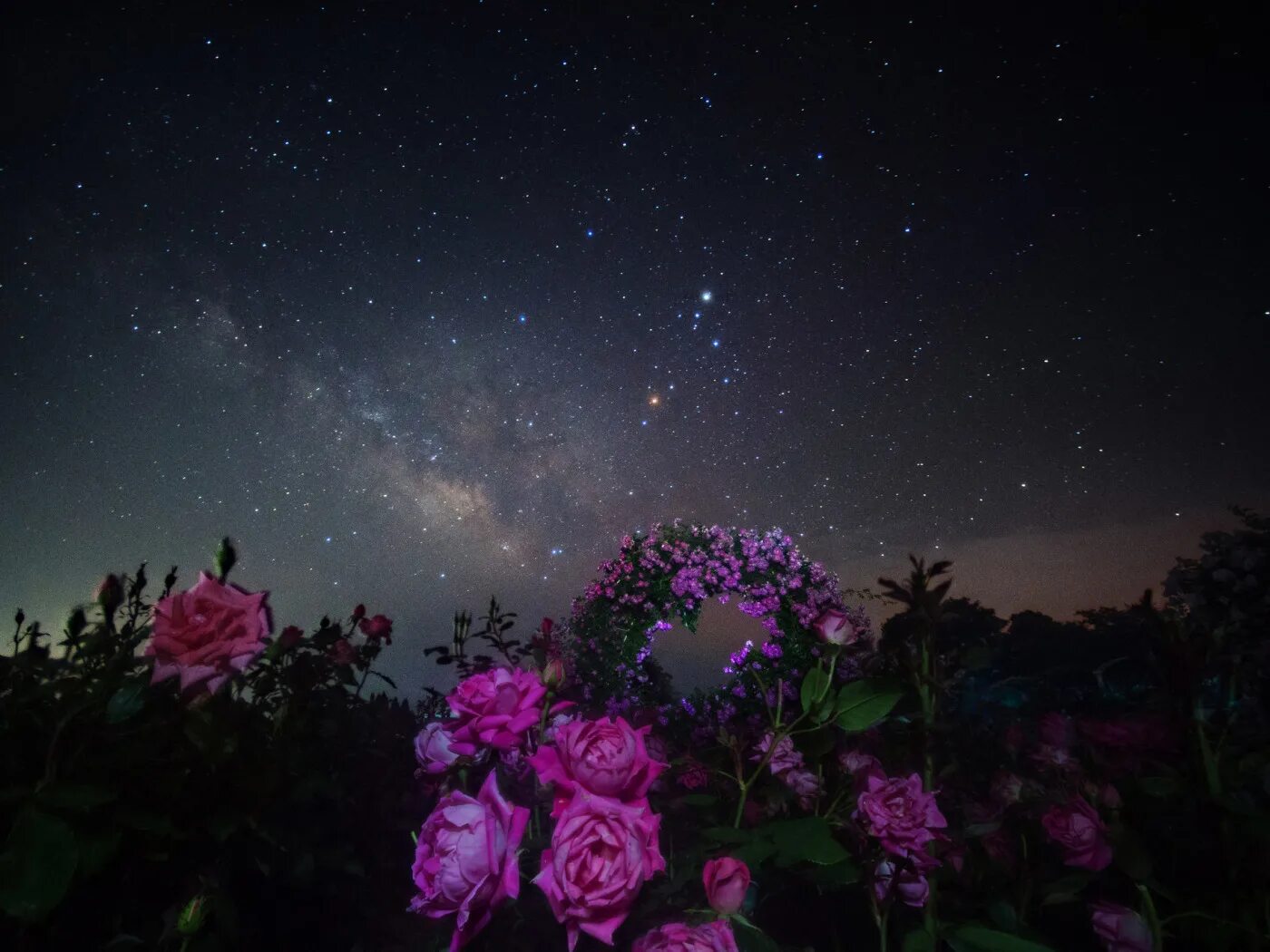 Красивая весенняя ночь. Белая акация грозди душистые. Спокойной ночи с черемухой. Цветущий яблоневый сад ночью. Цветущий яблоневый сад ночью.