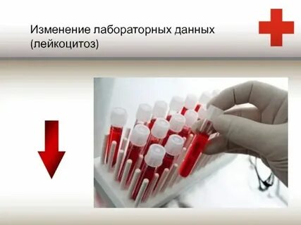 Тактика лабораторной диагностики