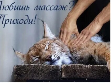 Массаж картинки смешные
