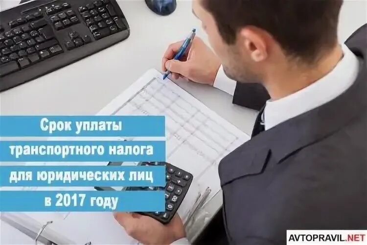 Налоговая для юр лиц телефон. Налоговая для юр лиц телефон