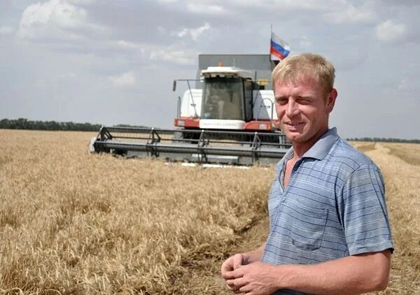 поле сельское хозяйство. спк колхоз луч ильича. комбайнер спк большинский. сталинец 6 комбайн зерновой. колхоз имени сталина аминьево.