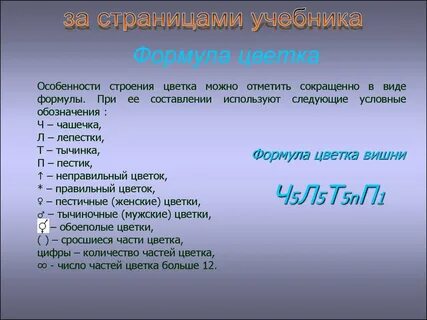 Формула вишни