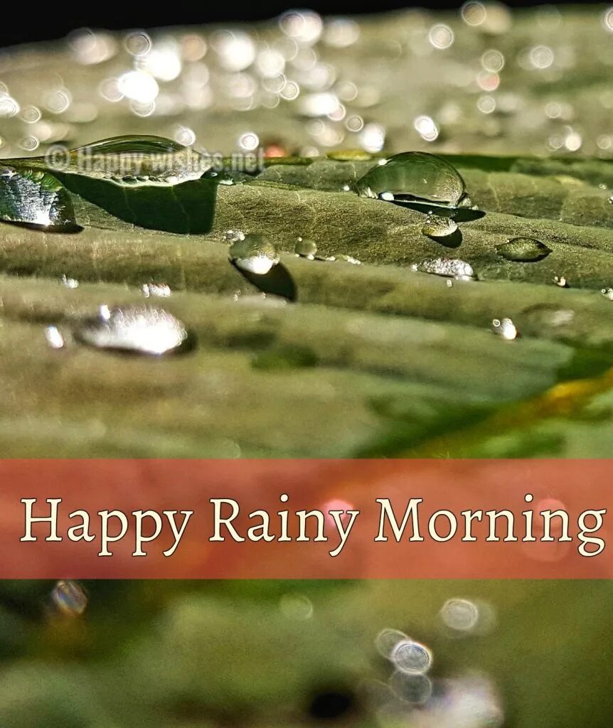 Rainy morning ноты. Rainiest morning. Rainiest morning. Чай на фоне дождя. Дождливое утро.