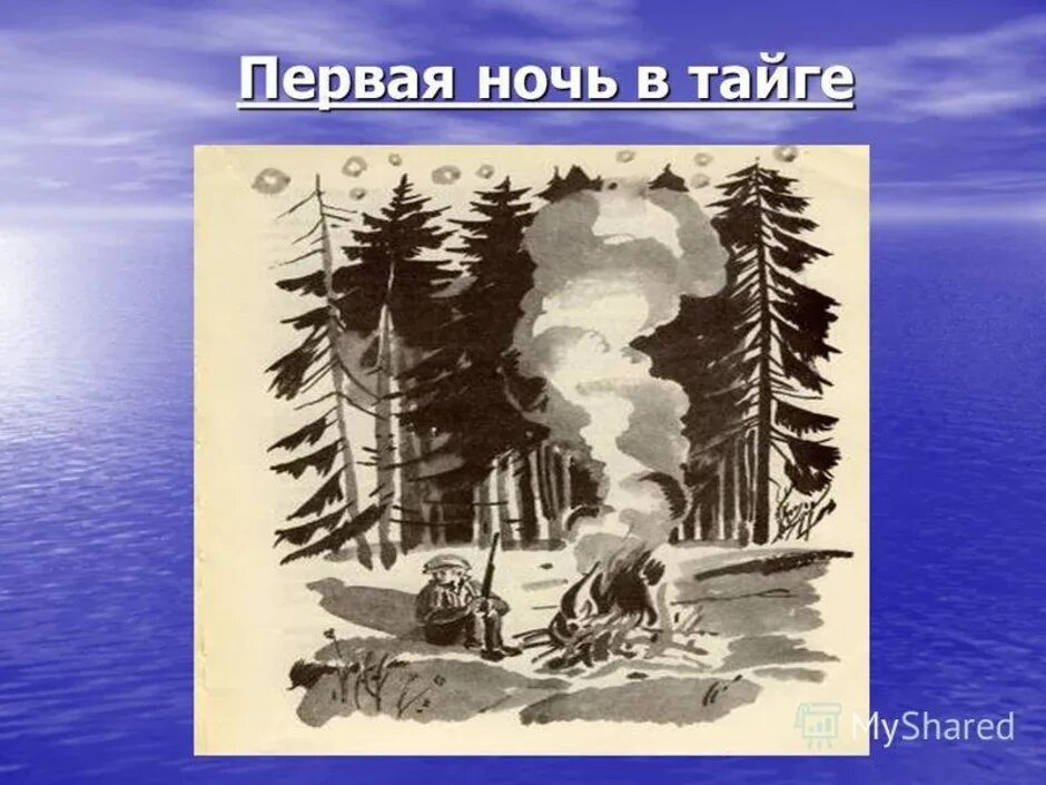 Иллюстрации к рассказу Астафьева Васюткино озеро. В П Астафьев Васюткино озеро иллюстрации. Астафьев Васюткино озеро иллюстрации к рассказу. Иллюстрация к рассказу в п Астафьева Васюткино озеро. Васюткино озеро путь васютки рисунок