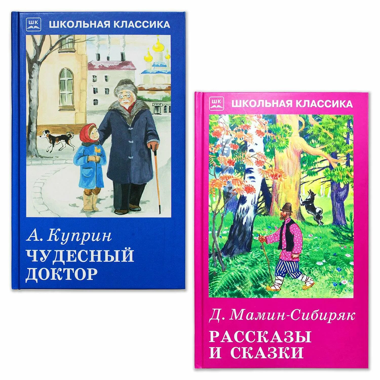 Куприн чудесный доктор тема рассказа сюжет. Чудесный доктор. Иллюстрации к рассказу чудесный доктор Куприна. Чудесный доктор обложка книги. Куприн чудесный доктор книга.