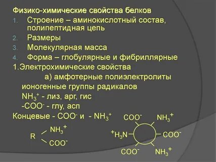 Строение химических свойств белков
