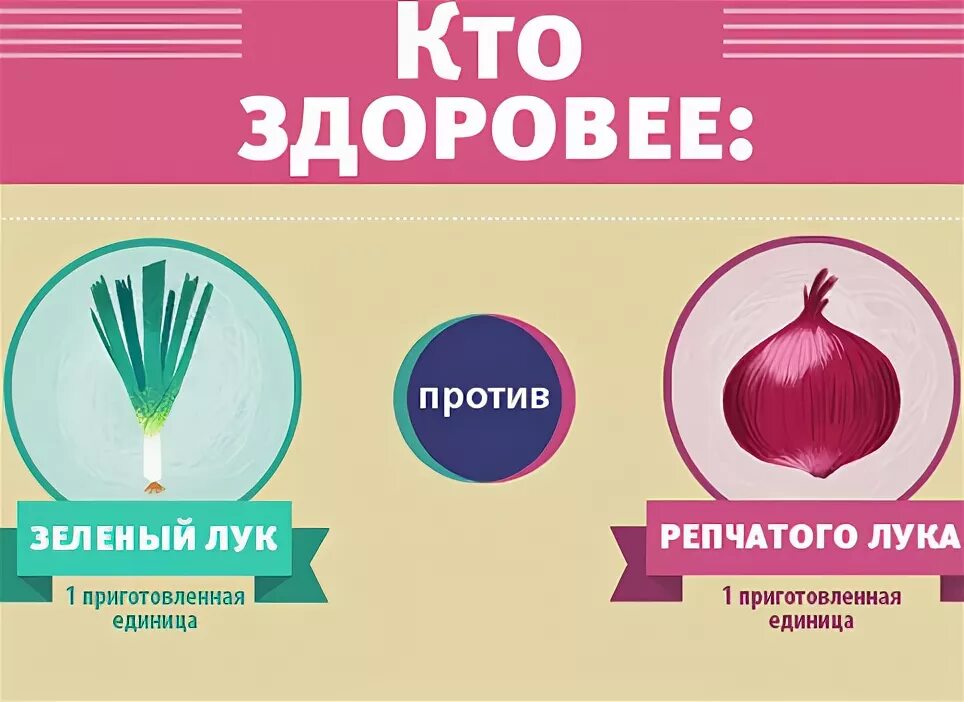 Список луковых. Список луковых