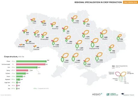 Регион зерно