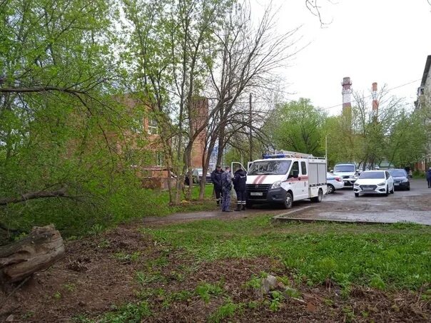 Лесоруба придавило деревом. Убило упавшим деревом. Упавшее дерево в лесу. Ударился головой об дерево. Погибшие деревья.