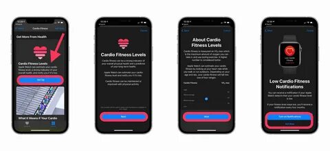 Notify fitness