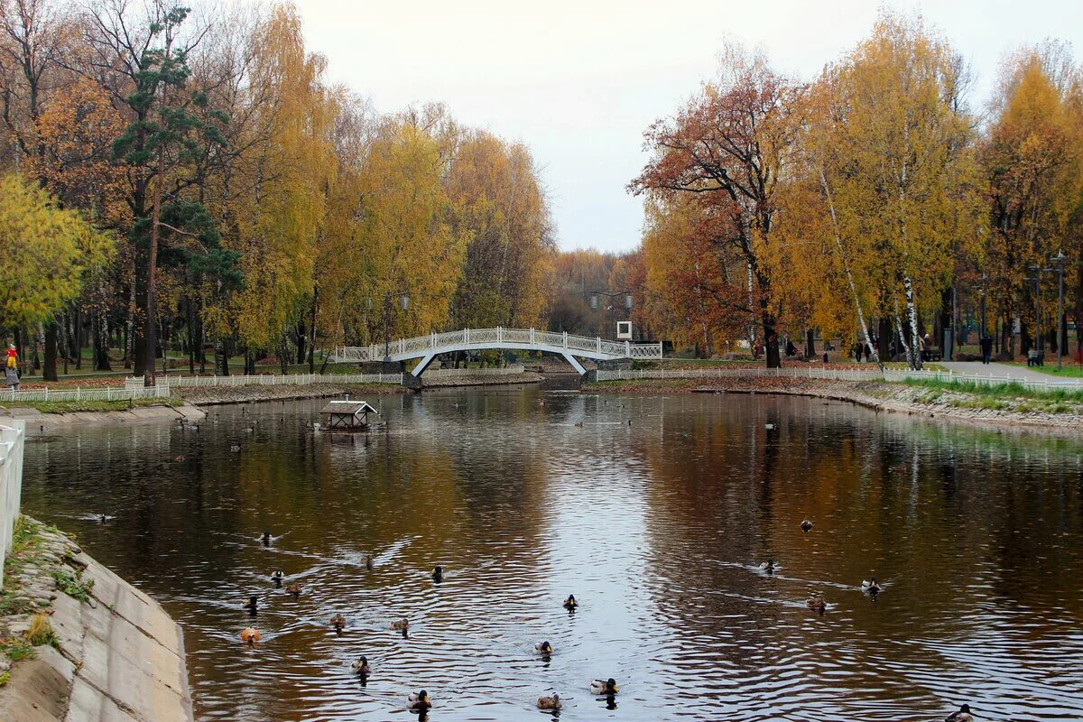 Лианозово. Парк Лианозово Москва. Лианозово (парк культуры и отдыха). Парк в Алтуфьево Лианозово.