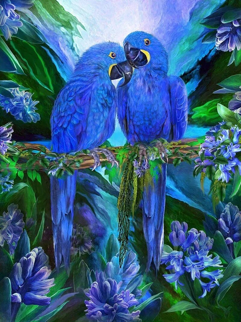 Две синие птицы. Цифровая живопись Кэрол Каваларис попугаи. Кэрол Каваларис птицы. Кэрол Каваларис картины птицы. Цифровая живопись Кэрол Каваларис животные и птицы.