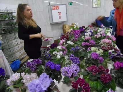 Черевичкина выставка цветов