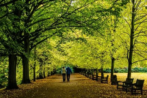 Does you walk in the park