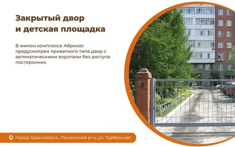 Абрикос красноярск