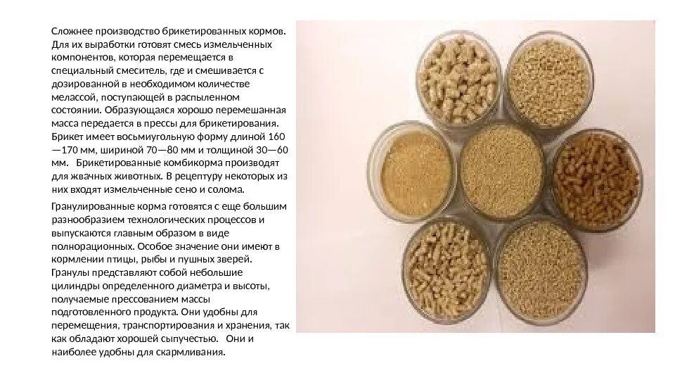 Корма и их значение. Основой для комбикормов. производство брикетированных комбикормов. брикетированные корма. хранение сырья и комбикормов..