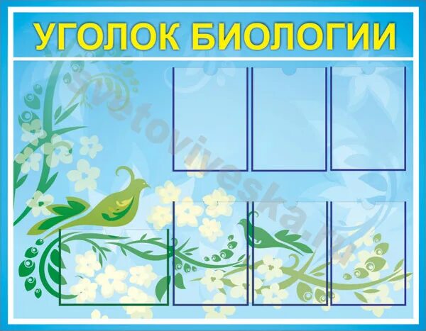Биология оформление стендов. Уголок кабинета биологии. уголок биологии стенд. классный уголок в кабинет биологии. биология стенд для школы.