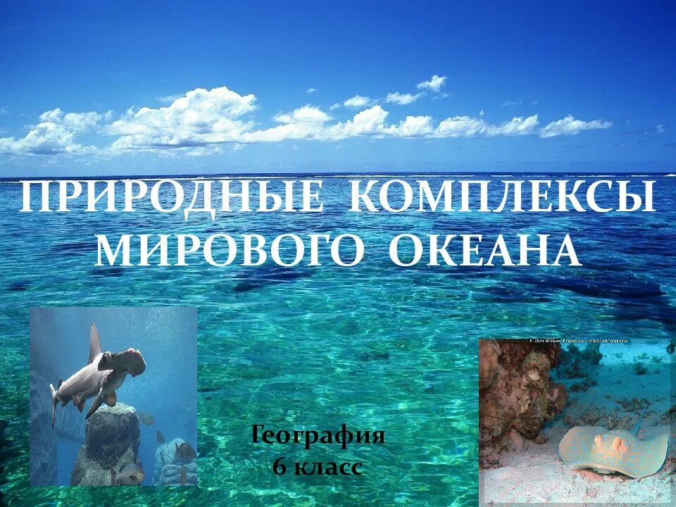 Природные комплексы мирового океана. Мировой океан презентация. Океанический природный комплекс. Что такое зональные природные комплексы в океане. Природное морское образование