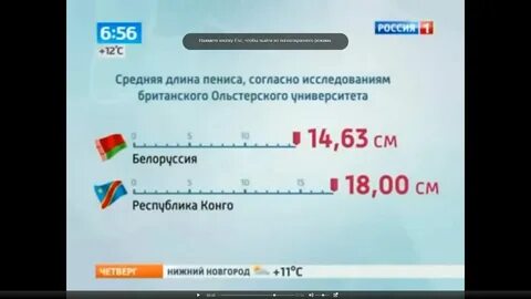 Полововой орган