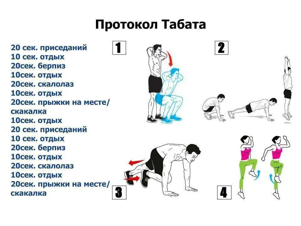 Табата тренинг комплекс упражнений. Табата схема тренировок. Комплекс упражнений Табата для начинающих. Комплекс упражнений Табата для начинающих мужчин.
