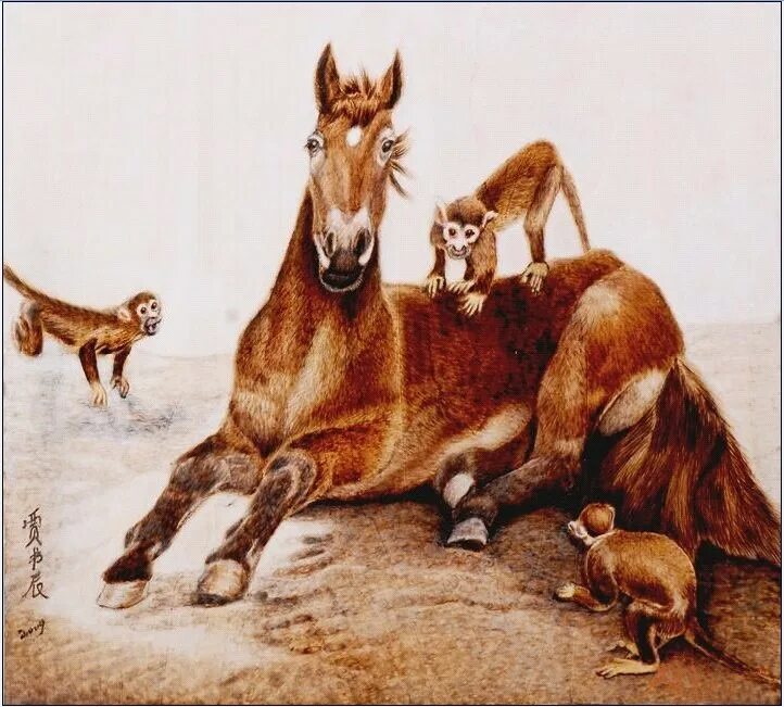 Мужчина лошадь и обезьяна. Обезьяна на лошади. Обезьяна и конь. Обезьяна на лошадке. Конь среди животных.
