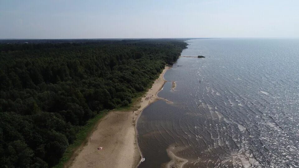 Белое озеро Липин Бор. Белое озеро Вологодская область Липин Бор. Липин Бор Вологда озеро. Белое озеро Липин Бор пляж. Группа вконтакте липин бор