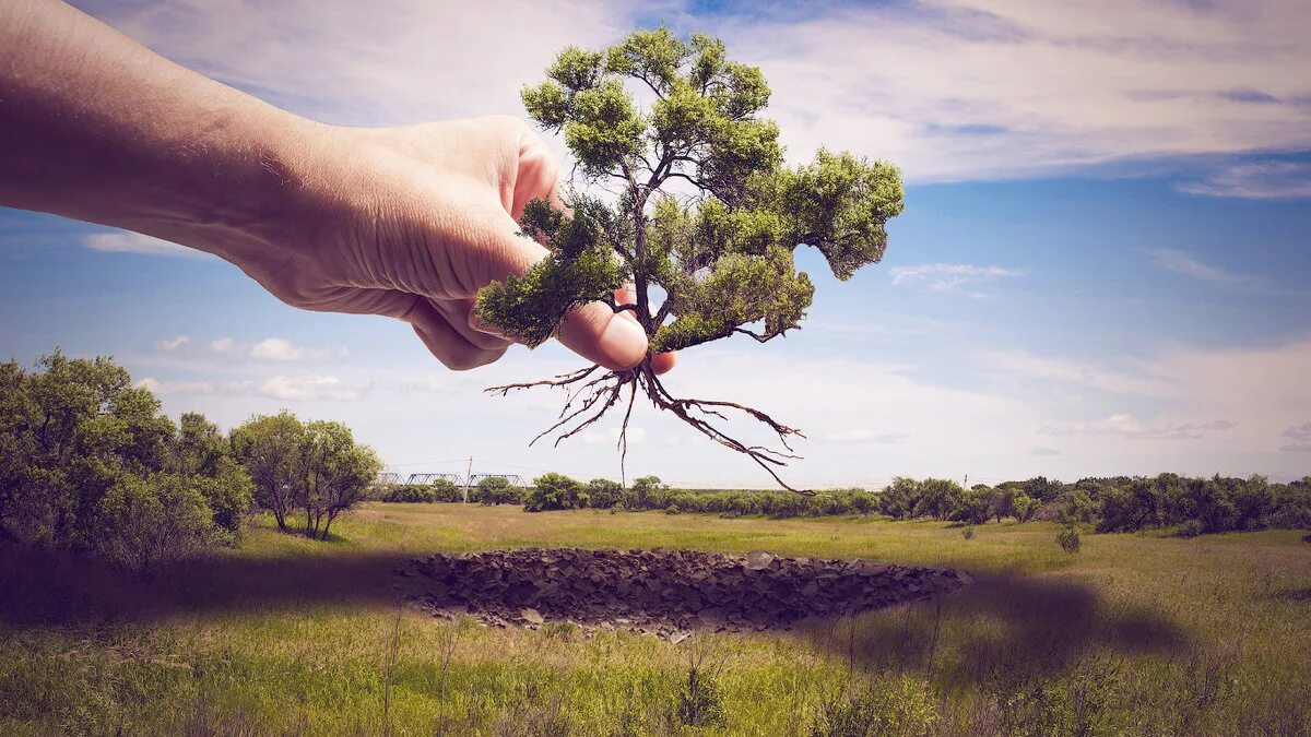 берегите землю. экология береги природу. природа в руках человека. береги природу. рисунок на тему защита природы.