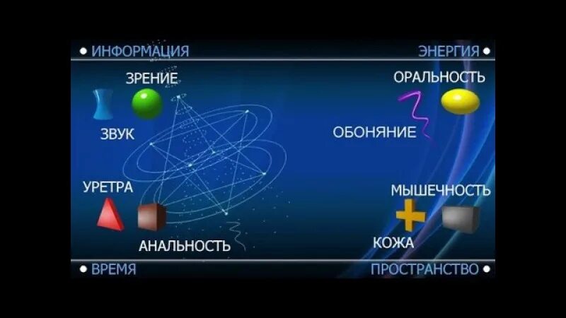 Векторная психология это. Системно-Векторная психология. Векторная психология. Система векторной психологии. Системно Векторная психология типы.