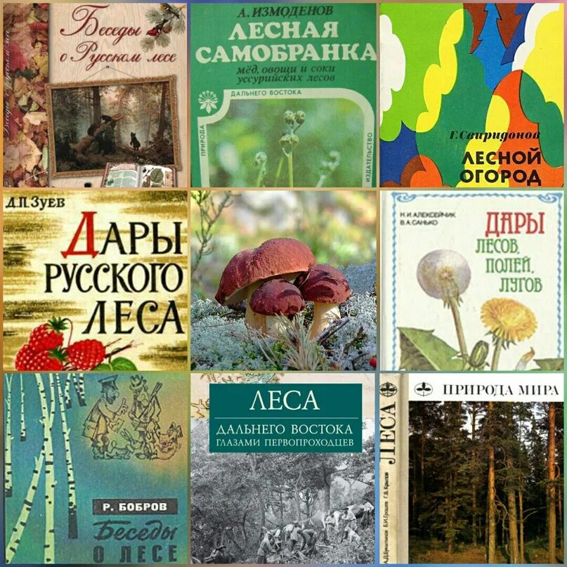 Беседы о лесе. Книга в лесу. В лесах книга. Русский лес книга. Кайгородов беседы о русском лесе.