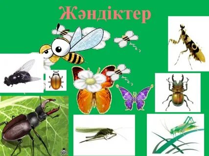 Топ 10 Tori Black порно актрисасы