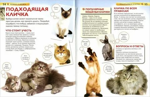 Детская энциклопедия кошки